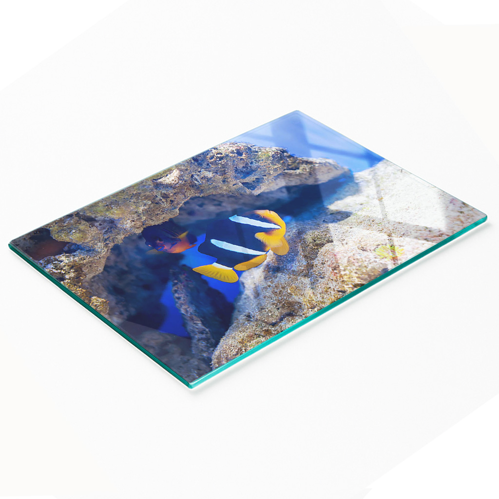 Multifunktionale, Dekorative Glasplatte Für Die Küche, Motiv: Tropische Fische, 80 X 52 Cm