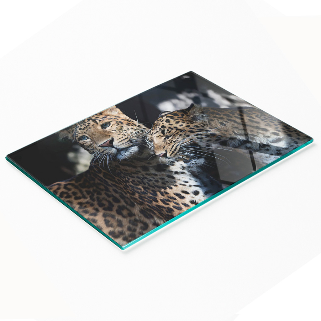 Robuste Und Stilvolle Glas-küchenplatte Mit Zwei Leopardenmustern, 80 X 52 Cm