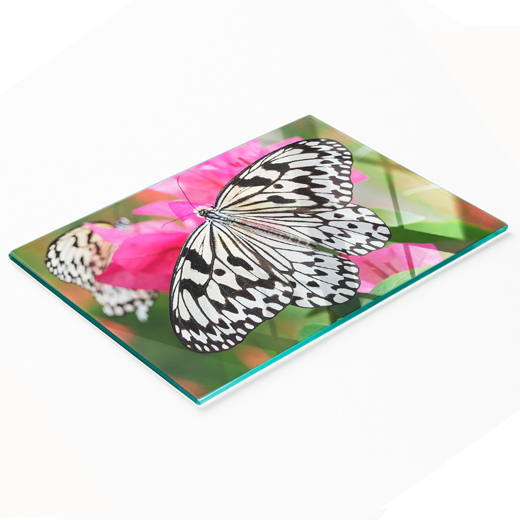 Multifunktionale, Dekorative Glasplatte Für Die Küche, Schmetterlings- Und Blumenmotiv, 80 X 52 Cm