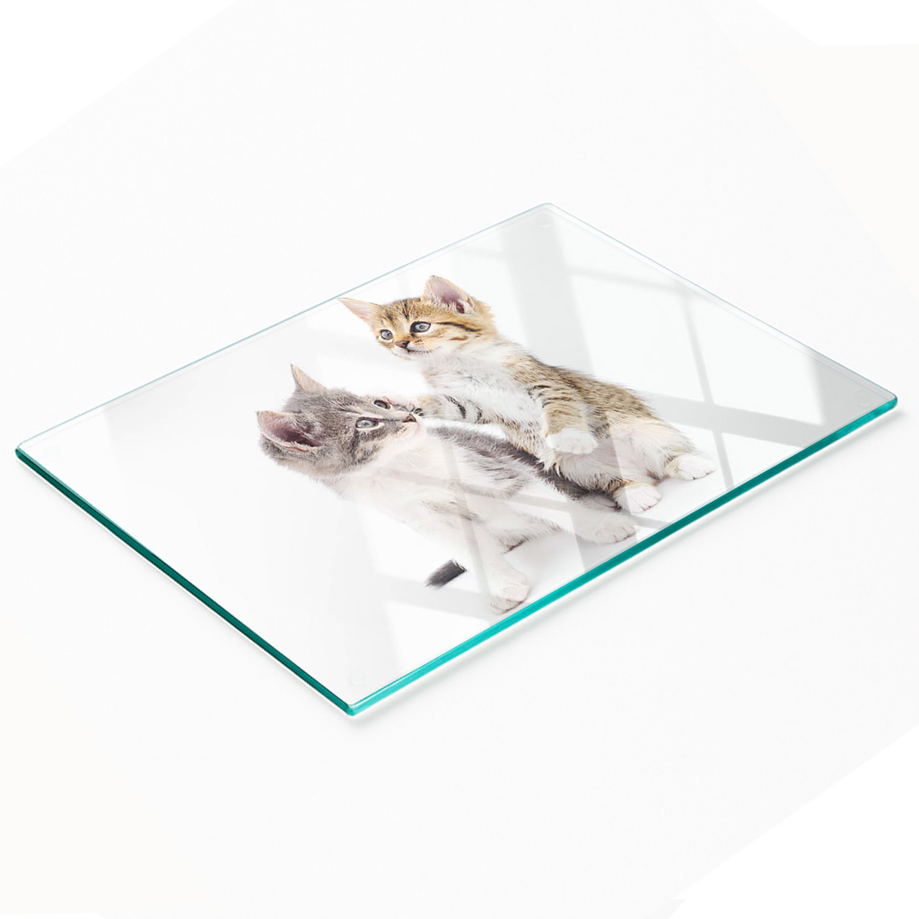 Dekorative, Multifunktionale Glasplatte Aus Gehärtetem Glas Mit Dem Motiv „zwei Kleine Katzen“, 80 X 52 Cm
