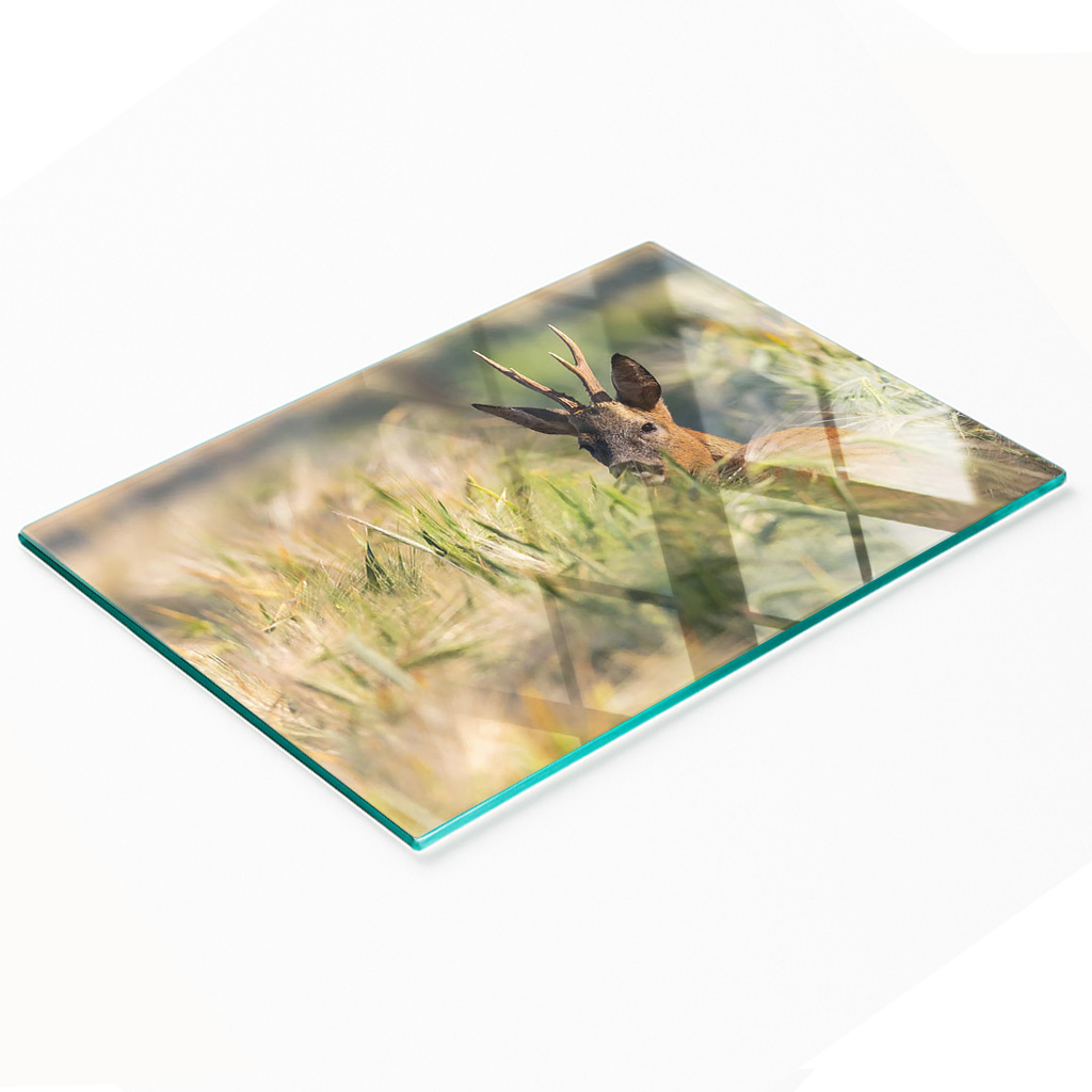 Dekorative, Multifunktionale Glasplatte Aus Gehärtetem Glas, Motiv: Hirschwiese, 80 X 52 Cm