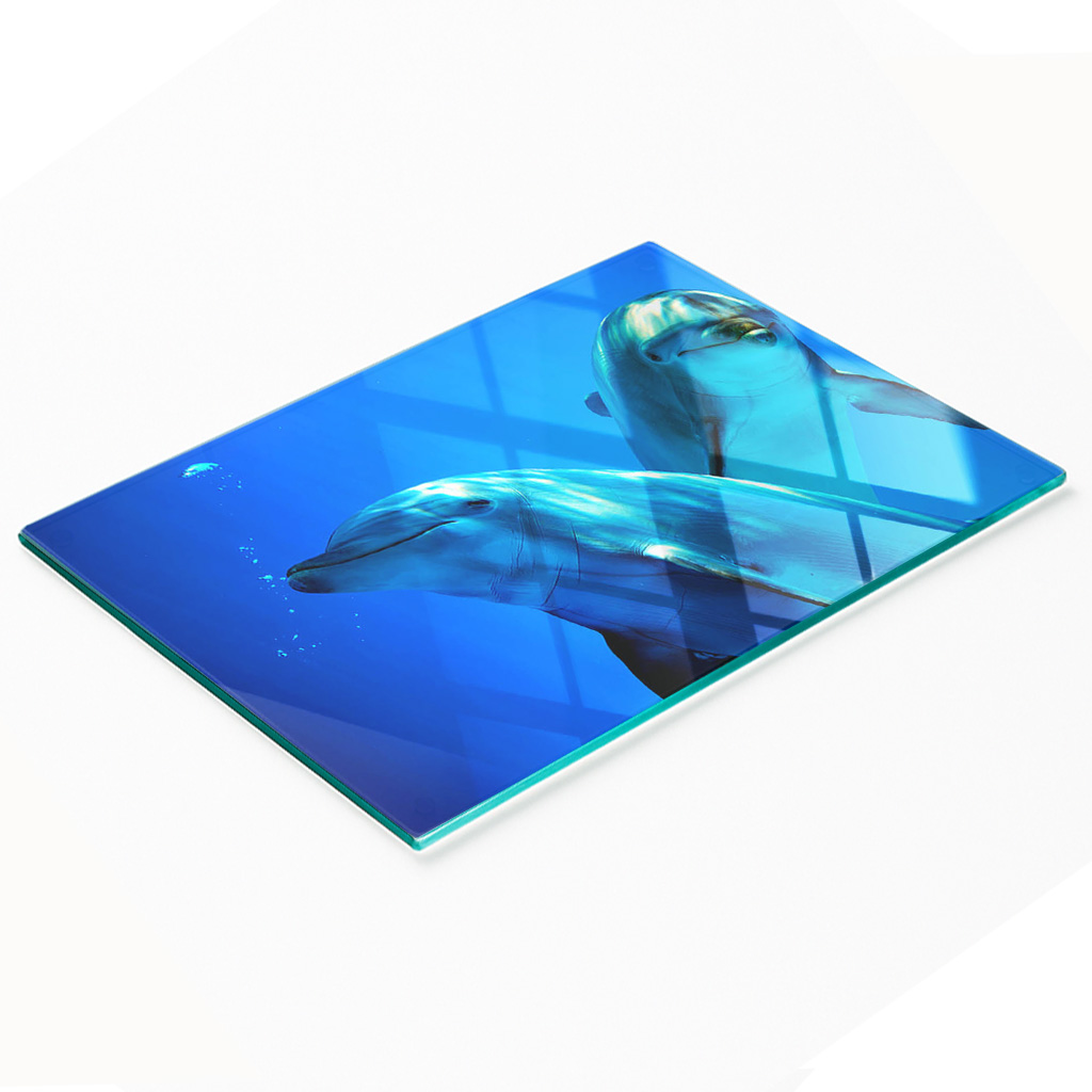 Multifunktionale Küchen-dekorationsplatte Aus Gehärtetem Glas, Zwei Delfine, 80 X 52 Cm
