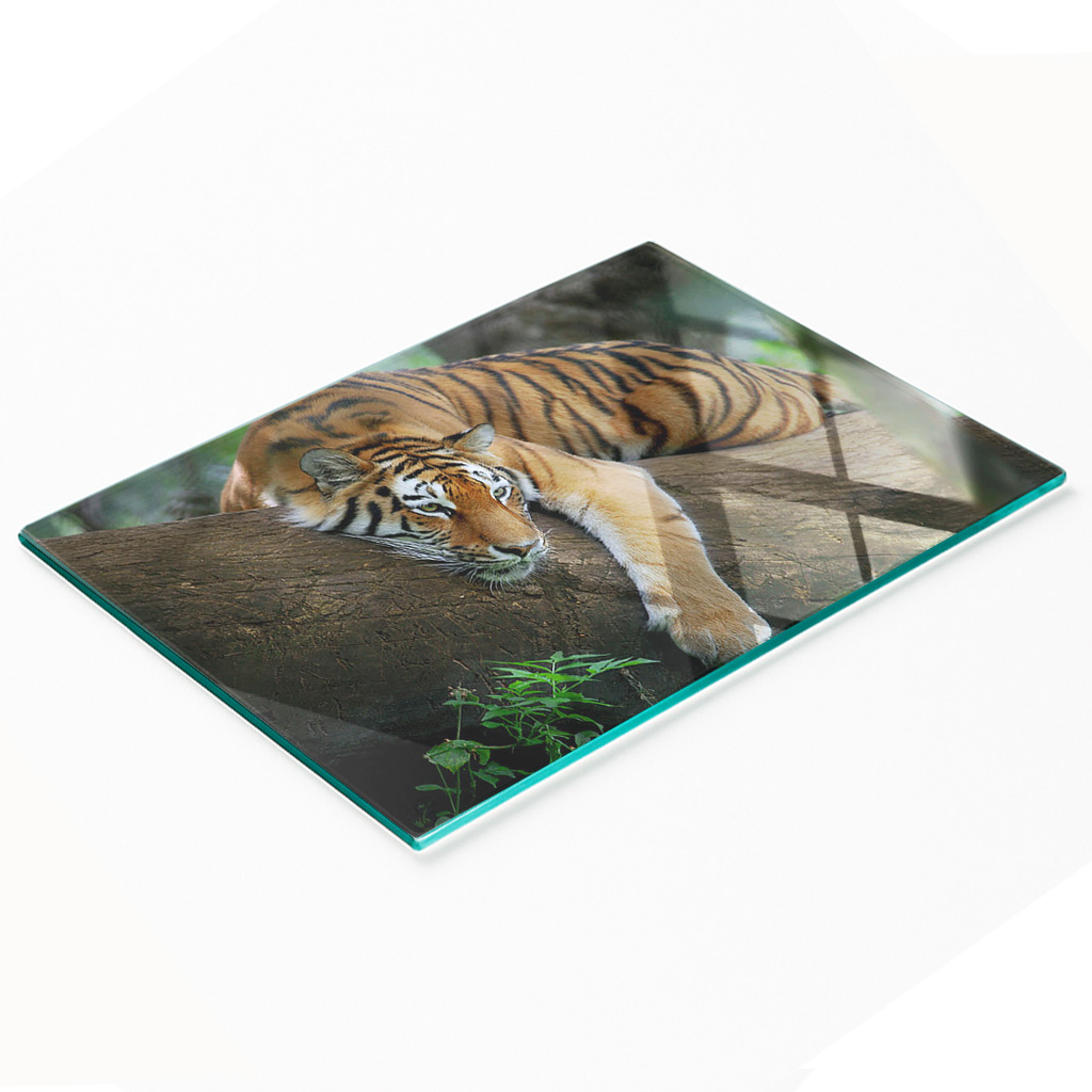 Stilvolle Und Robuste Glasplatte Mit Tiger-auf-einem-baum-motiv, 80 X 52 Cm
