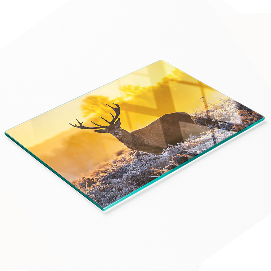 Dekorative Glas-küchenplatte „sonnenaufgang Über Einem Hirsch“, 80 X 52 Cm