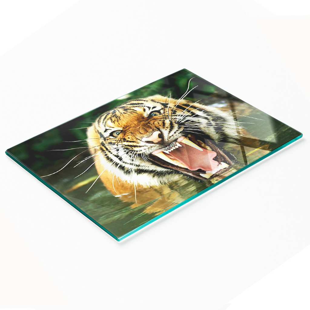 Dekorative, Multifunktionale Glasplatte Aus Gehärtetem Glas, Motiv: Brüllender Tiger, 80 X 52 Cm