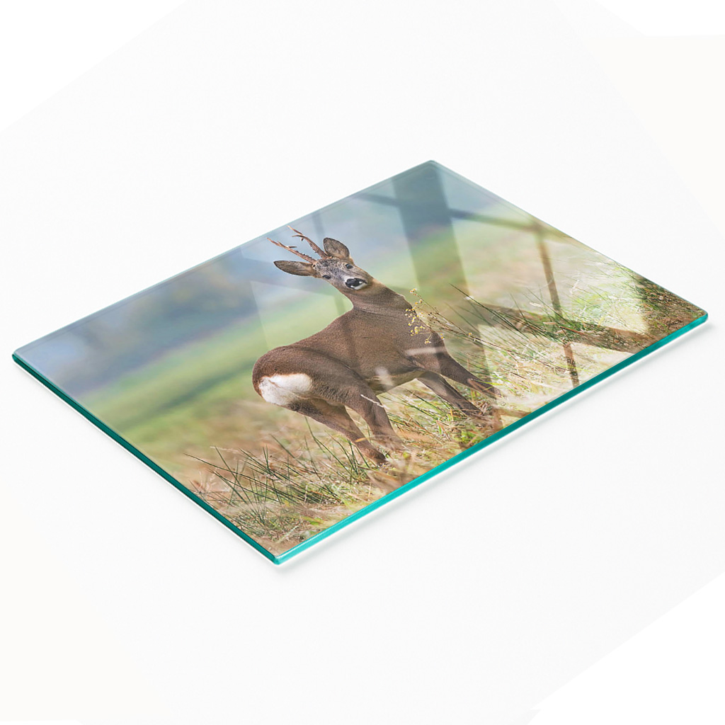 Multifunktionale Küchen-dekorationsplatte Aus Gehärtetem Glas, Hirschmotiv, 80 X 52 Cm
