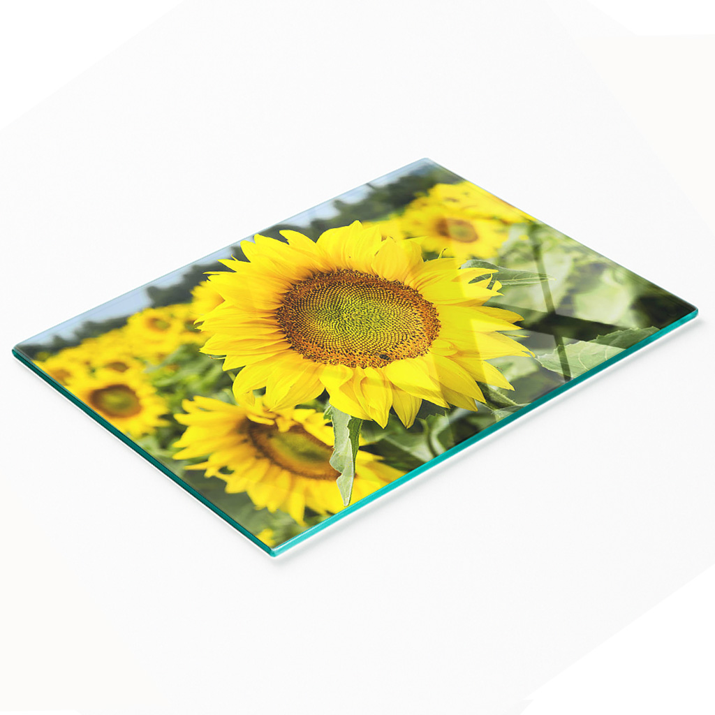 Stilvolle Und Robuste Glasplatte Mit Sonnenblumenfeld-motiv, 80 X 52 Cm