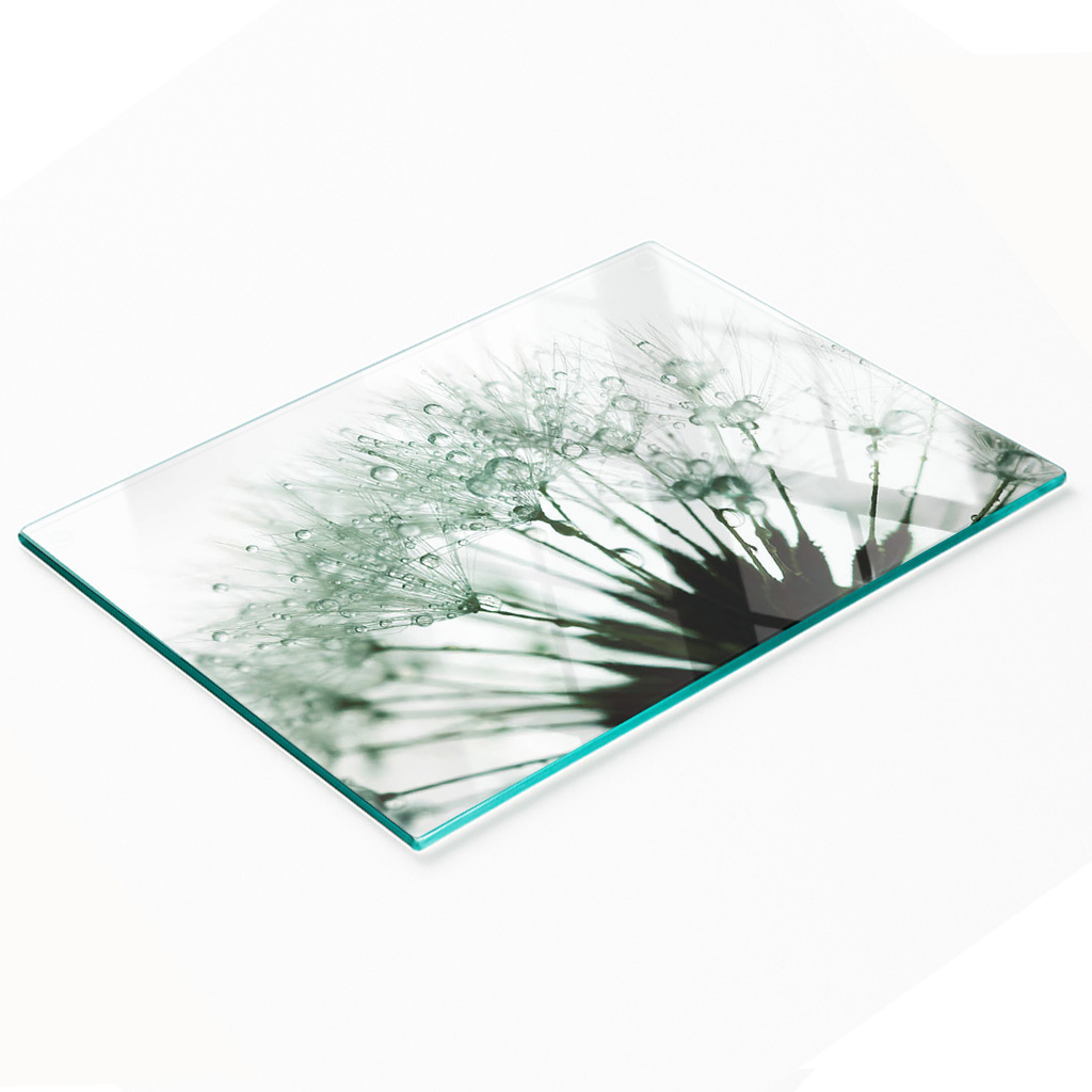 Dekorative, Multifunktionale Glasplatte Aus Gehärtetem Glas, Löwenzahnmotiv, 80 X 52 Cm