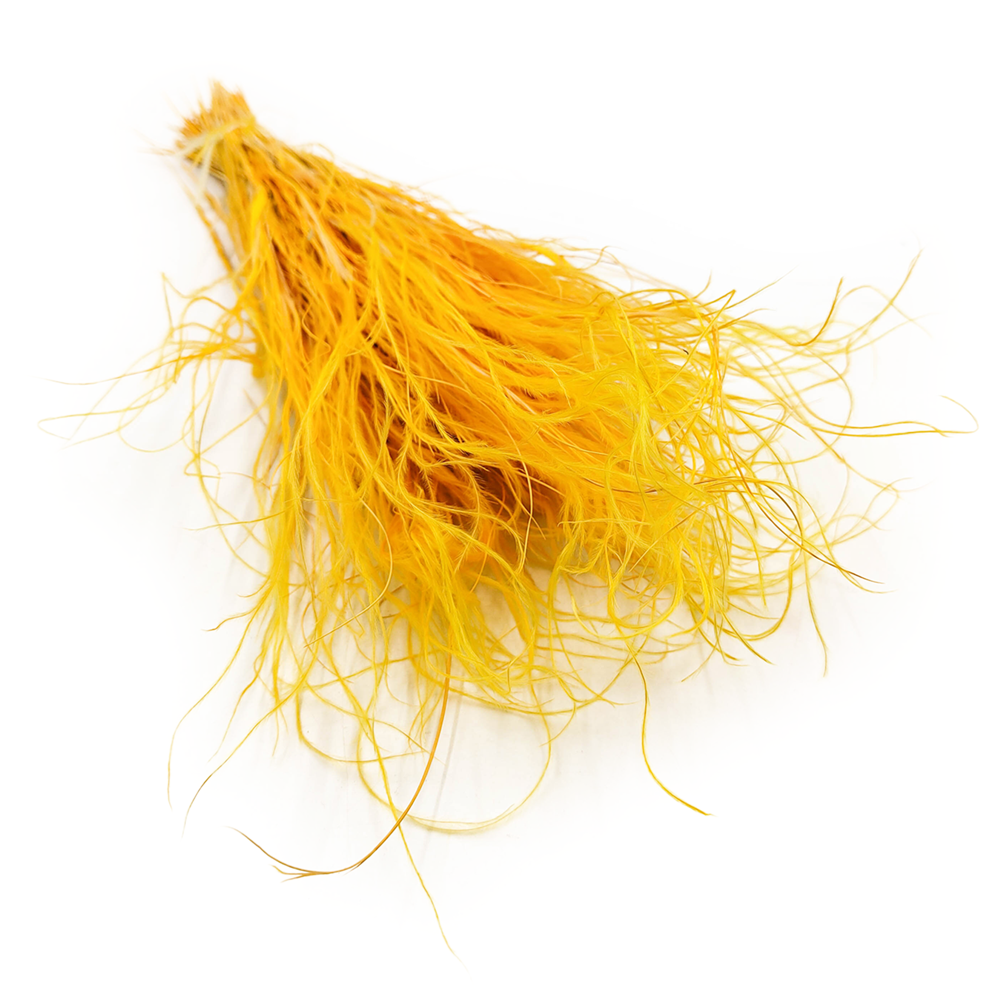 Getrockneter Stipa - Stipa Pennata - Ingwer