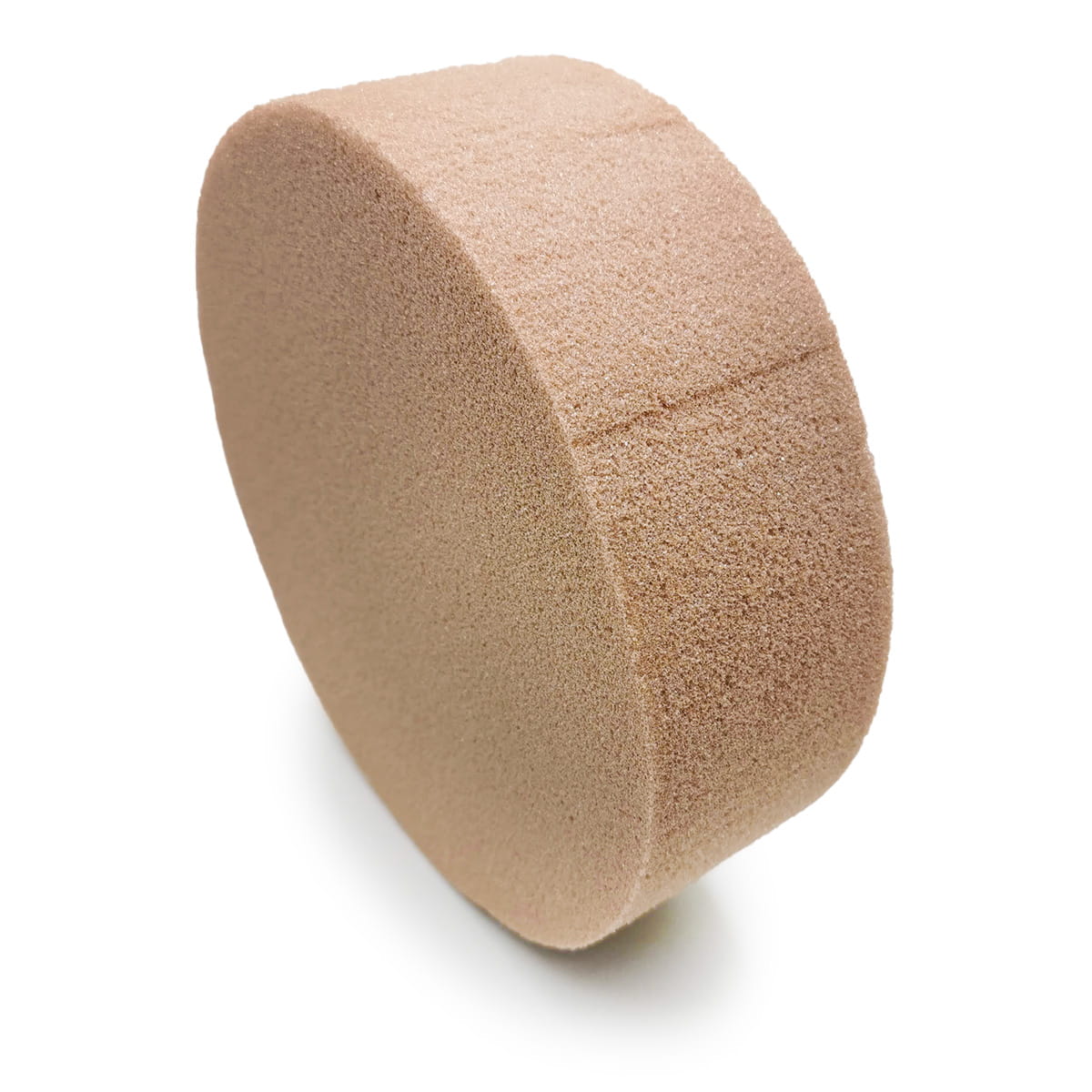 Steckschaum - Zylinderförmig 22 × 7 Cm - Trocken