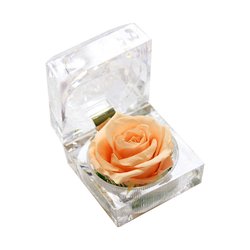 Konservierte, Duftende Echte Rose, Romantisches Geschenk (transparente Box)