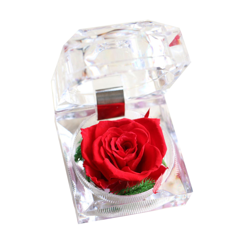 Konservierte, Duftende Echte Rose (in Einer Transparenten Schachtel)