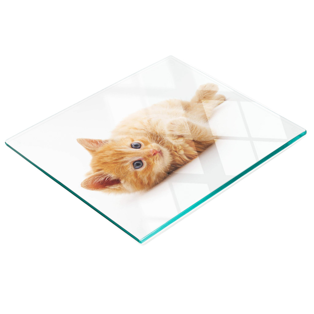 Dekorative, Multifunktionale Glasplatte Aus Gehärtetem Glas, Motiv: Rote Katze, 60 X 52 Cm