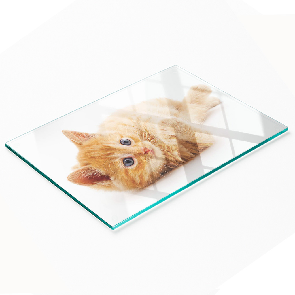 Dekorative, Multifunktionale Glasplatte Aus Gehärtetem Glas, Motiv: Rote Katze, 80 X 52 Cm