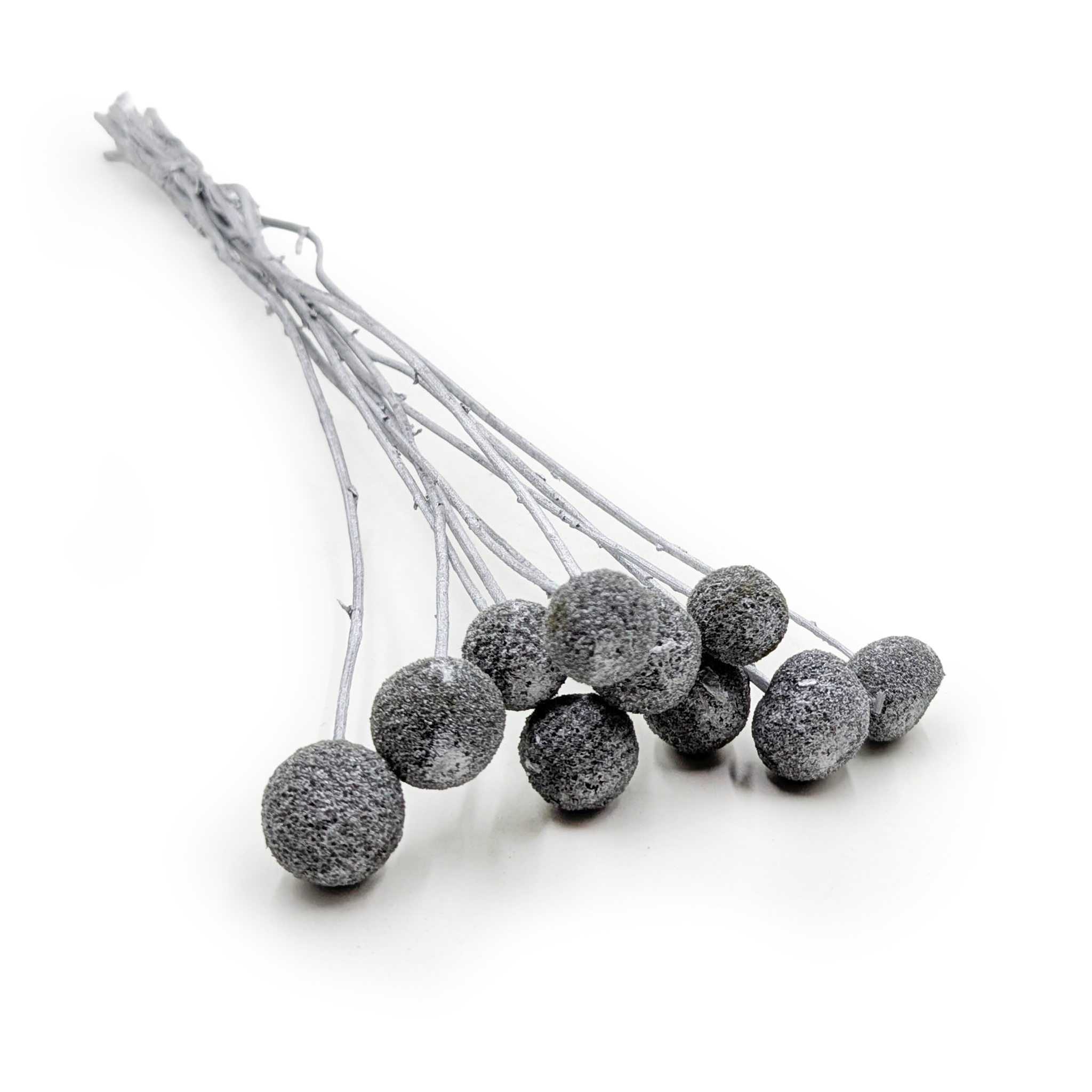 Getrocknete Craspedia - (craspedia) - Silber - 10 Stück.