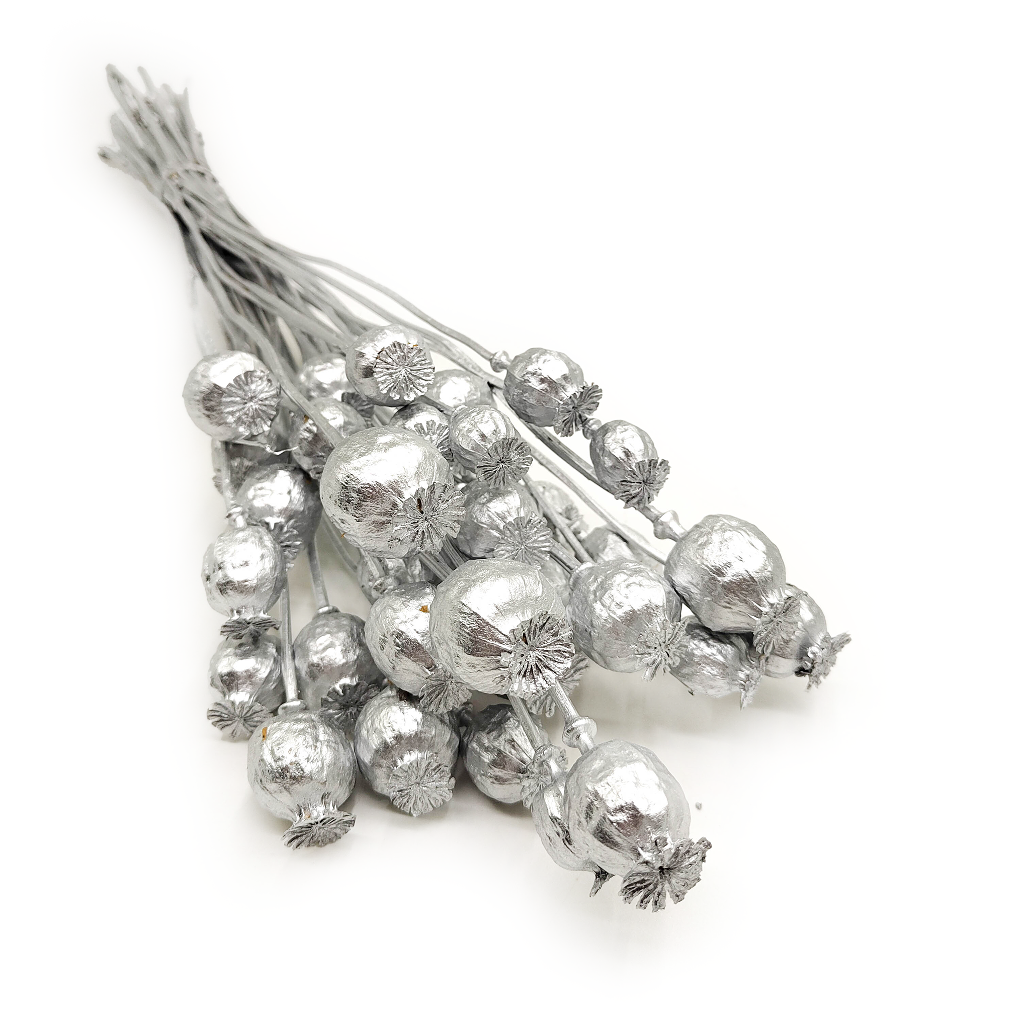 Getrocknete Mohnsamen (papaver) - Silber