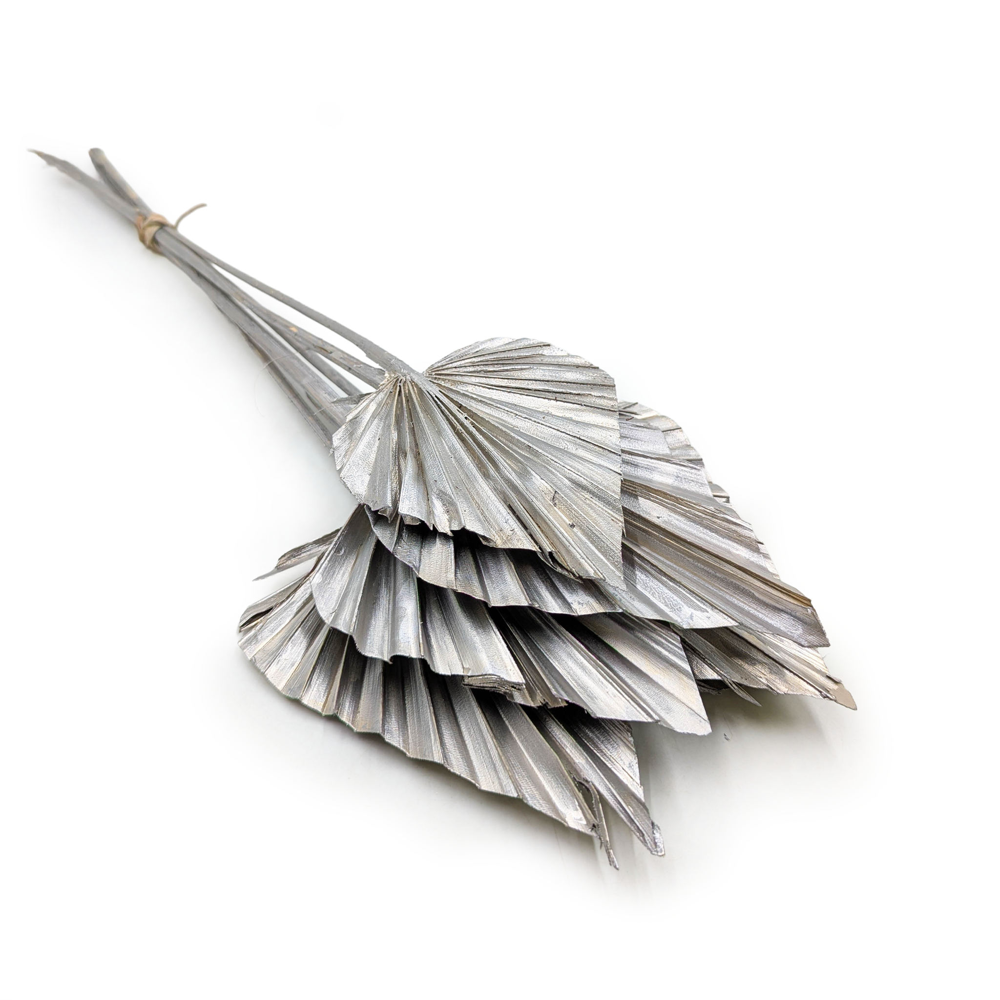 Palmenspeer – Silber/platin