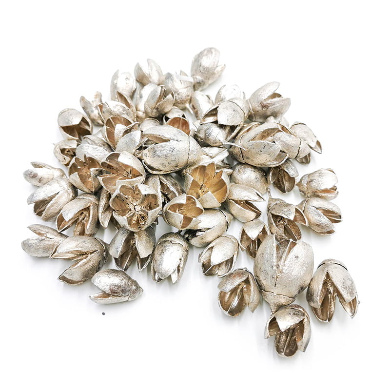 Silber-bakuli – Exotische Trockenfrüchte – 100 G