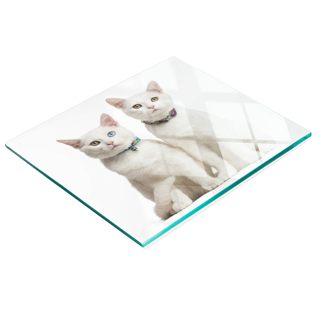 Dekorative, Multifunktionale Glasplatte Aus Gehärtetem Glas, Motiv: Weiße Katzen, 60 X 52 Cm