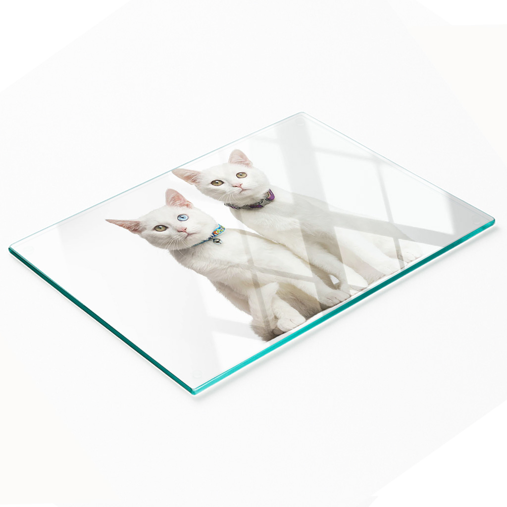 Dekorative, Multifunktionale Glasplatte Aus Gehärtetem Glas Mit Weißen Katzenmotiven, 80 X 52 Cm
