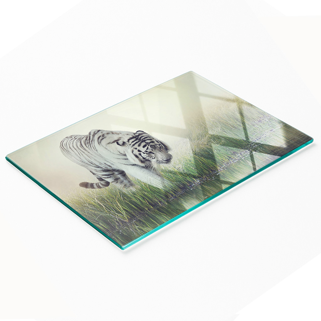 Multifunktionale Küchen-dekorationsglasplatte „weißer Tiger“, 80 X 52 Cm