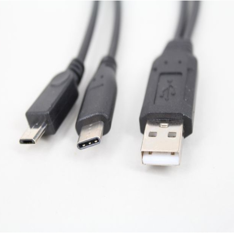 2-in-1 Usb-auf-typ-c- + Micro-datenkabel Für Tablets, Handys Und Micro-ladekabel (ladeversion)