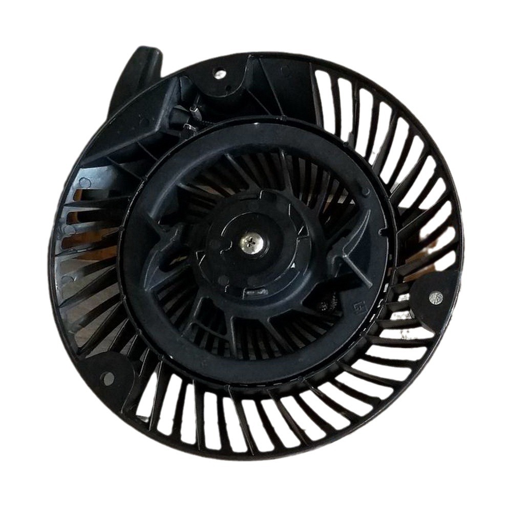 Anlasserplatte Für Briggs & Stratton Motor 793470 – Ersatzteil