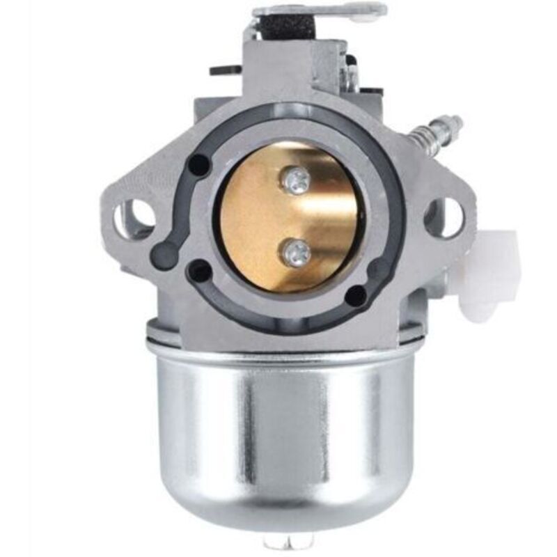 Amxcnoy Vergaser Für Tm & Stratton 28m707, 28r707, 28t707, 28v707 – Silbermetall – Kompatibel Mit Vertikalmotoren – Inklusive Überholungssatz