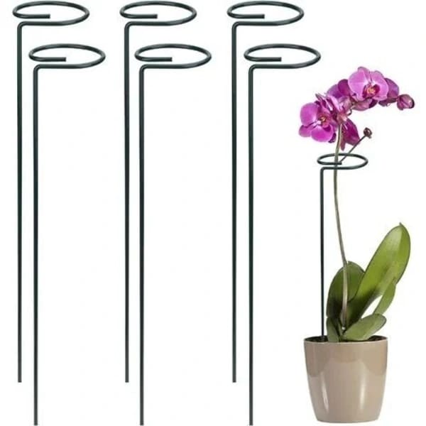 Set Mit 6 Pflanzenstützen, 40 Cm Große Metallringe Für Pflanzen, Blumen Und Gemüse.