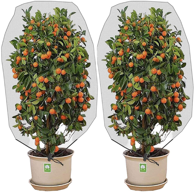 Set Mit 2 Insektennetzen Für Den Garten (97,5 X 150 Cm) Zum Schutz Ihrer Pflanzen.