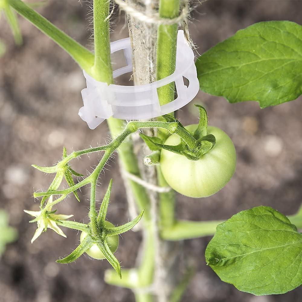 Kunststoff-gartenclips Für Vertikales Gärtnern, Einfache Schnappbefestigung, Bieten Halt Und Schutz Für Gesundes Pflanzenwachstum (200 Stück)
