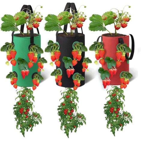 Bunthaus Set Mit 3 Hängenden Pflanzsäcken, Freistehende Pflanzsäcke Mit 12 Atmungsaktiven Pflanzlöchern, Für Erdbeeren, Kräuter, Blumen, Gemüse, 20 Cm X 35 Cm (rot, Schwarz, Grün)
