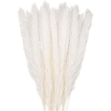 Bunthaus 30 Stück Pampasgras, 58 Cm Natürlicher, Getrockneter Pampasblumenstrauß Für Vasen, Weiße Boho-dekoration Für Schlafzimmer, Wohnzimmer, Hochzeit, Fotoshooting, Tischdekoration