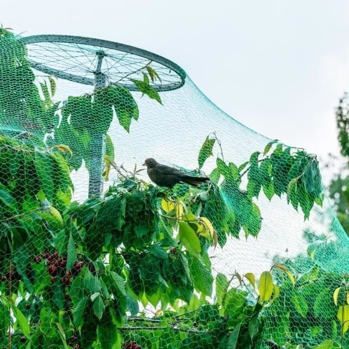 Leu Vogelschutznetz 4x10m Maschenweite Zum Schutz Von Pflanzen, Gemüse, Obst, Teichen Und Gärten