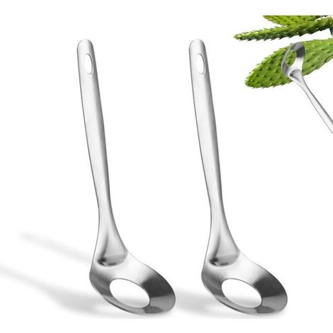 2-teiliges Kaktusschäler-set, Hochwertiges Kaktusschälwerkzeug Aus Edelstahl Mit Löffelöffnung Zum Schälen Von Kakteen
