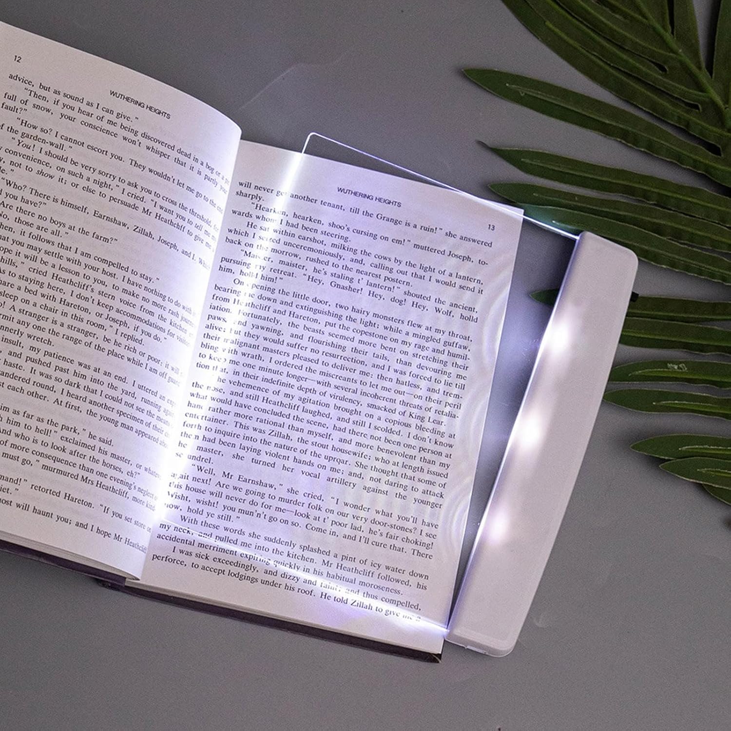 Set Mit 2 Flachen Leselampen, Lesezeichenlampen, Tragbaren Led-leselampen Mit Augenschutz Zum Lernen Zu Hause, Seitenleuchten