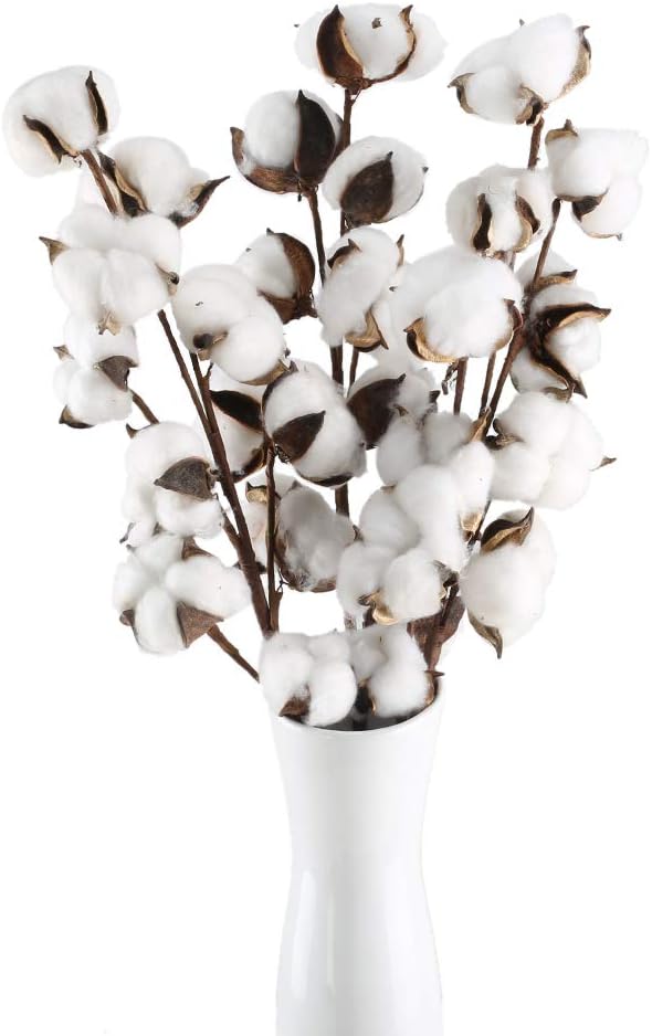 3 Zweige Natürlicher Baumwollblüten, 10 Blütenköpfe Mit Künstlichen Stielen, Getrocknete Baumwollblüten, Künstliche Pflanze, Natürliche Dekoration Für Den Innenbereich, Vase, Balkon, Hochzeit, Zuhause