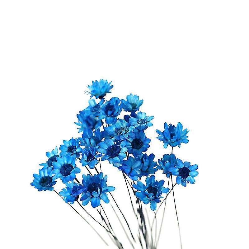 30 Stück Diy-trockenblumen