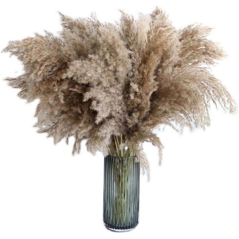[neuwertig]pampasgras, 20 Stück, 60 Cm, Natürlich Getrocknet, Hochzeitsstrauß, Trendiger Strauß, Künstliche Blumen, Für Die Heimdekoration, Für Vasen Im Innenbereich