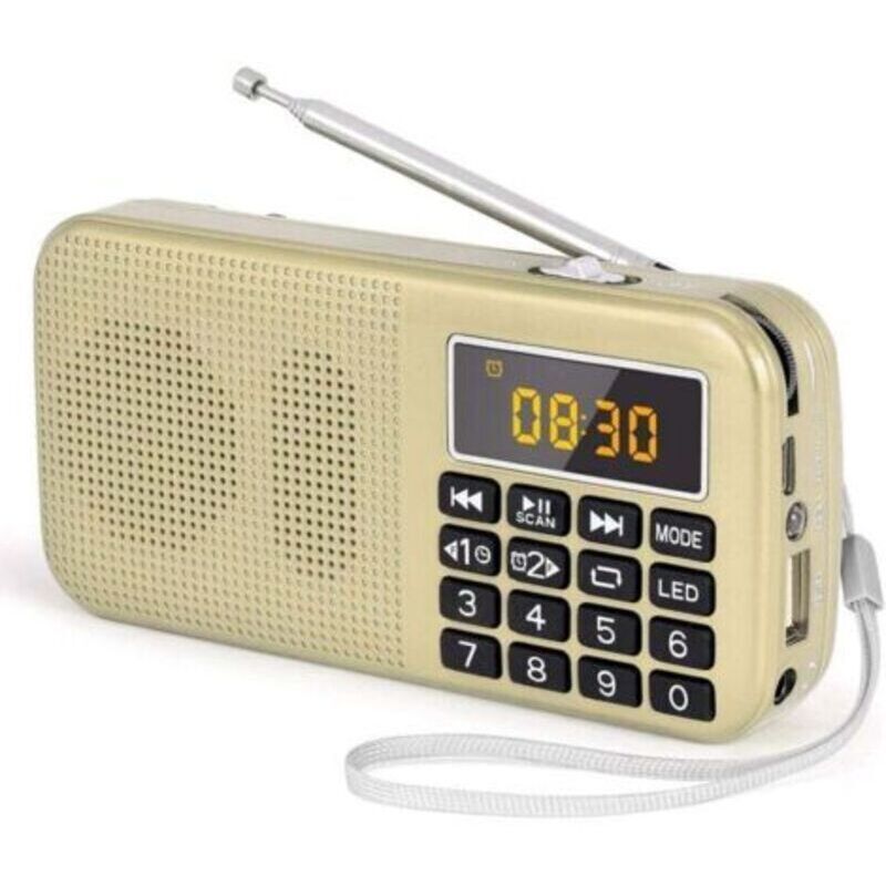 [neuwertig]tragbares Ukw-radio Mit Leistungsstarkem Akku (3000 Mah), Unterstützt Mp3/sd/usb/aux, Gold