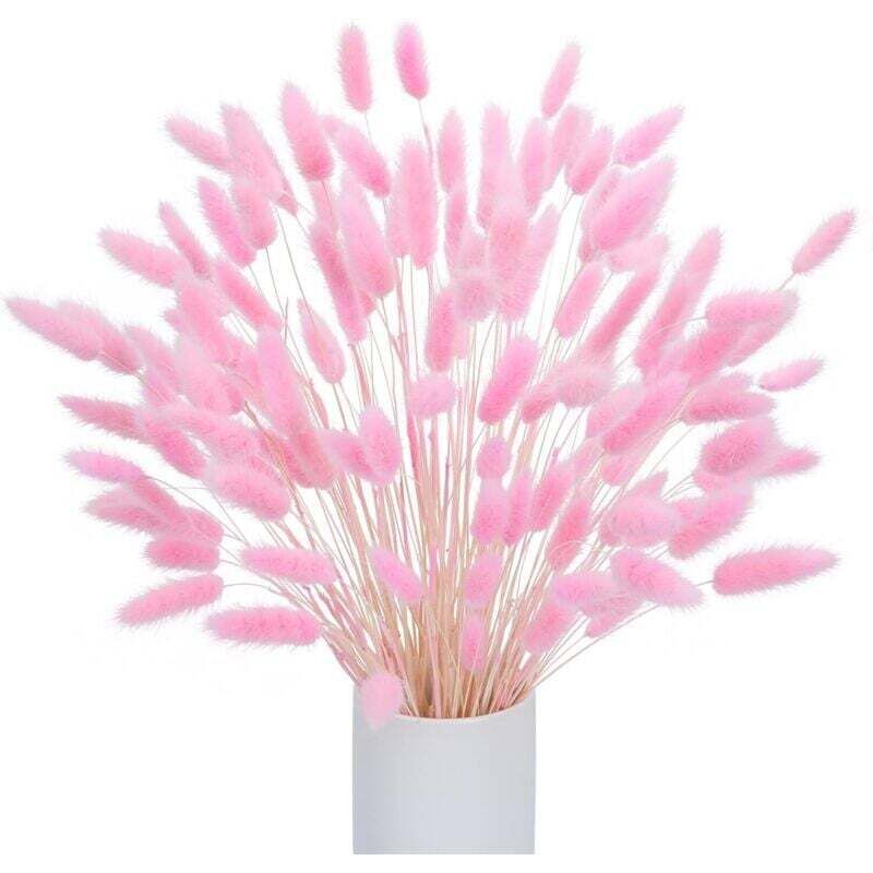 [neuwertig]120 Stück Natürliche, Getrocknete Pampasgras-dekoration, Getrocknete Pampasgras-blumen, Getrocknete Blumenstrauß-dekoration Für Boho-hochzeitsblumen Und Tischdekoration (rosa) (flasche)