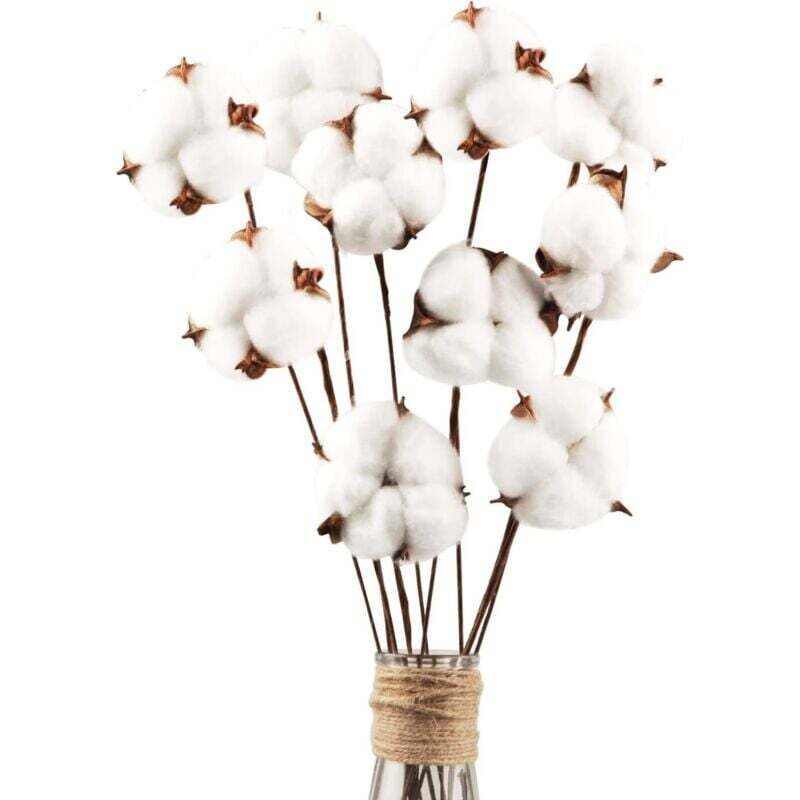 [neuwertig]10 Natürliche, Getrocknete Baumwollblüten, Dekorative Stiele Für Blumenarrangements, Zuhause, Balkon, Tisch