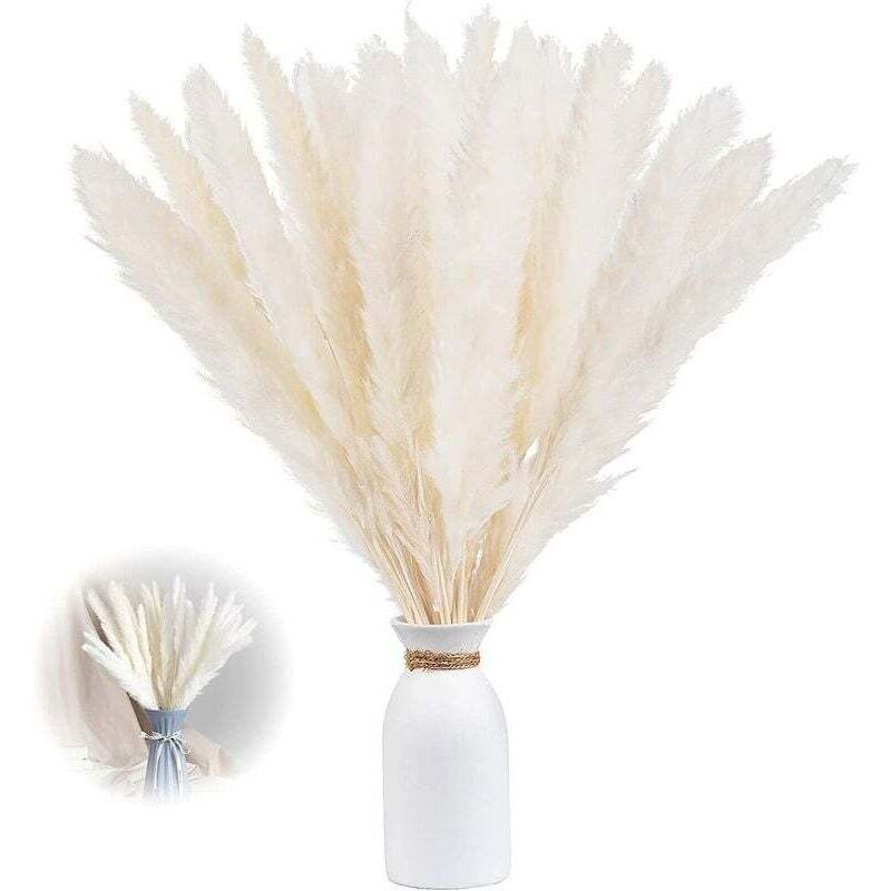 [neuwertig]set Mit 30 Künstlichen Blumenvasen Aus Getrocknetem Pampasgras, 60 Cm, Dekoration Aus Pampasgras Und Trockenblumen, Natürliches Pampasgras, Getrocknetes Pampasgras, Getrocknetes Schilf