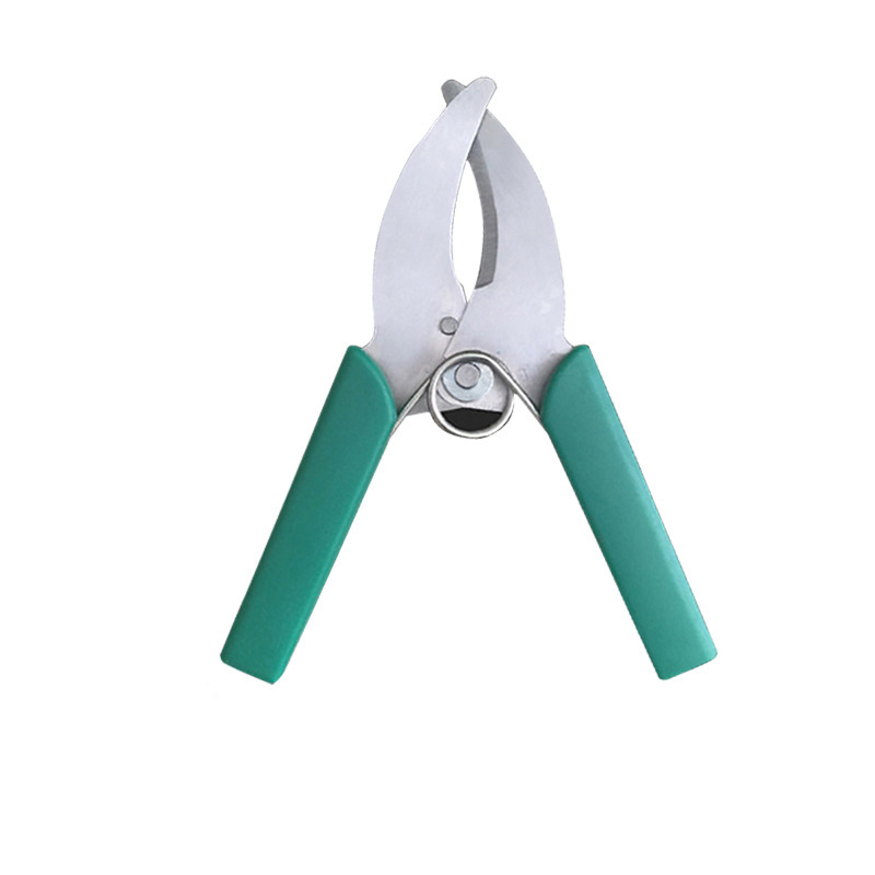 Dtekgaz - Gürtelmesser, Gürtelschere, Obstbäume, Gürtelschere, Junge Reben, Gürtelmesser, Rindenmesser, Garten, Obstgarten, Gürtelschere