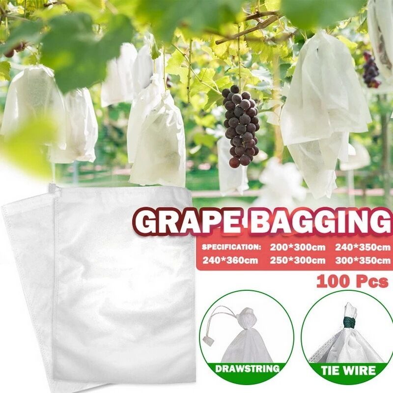 Packung Mit 100 Schutzbeuteln Für Obst, 30 X 20 Cm – Vogel- Und Insektenschutznetz – Wiederverwendbar Und Aus Feinem Organza