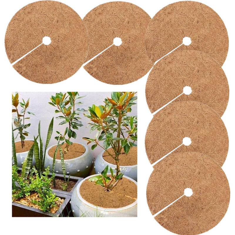 Biologisch Abbaubare Kokosnussmulchscheiben – 6er-pack – 20 Cm Durchmesser – Winterschutz Für Topfpflanzen