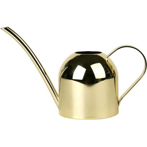 Moderne Gießkanne Aus Edelstahl Für Zimmerpflanzen Mit Komfortablem Griff, Langem Ausguss Und Robustem Korpus Für Den Innen- Und Außenbereich, Gold