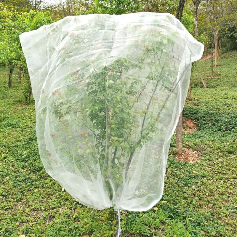 Insekten- Und Vogelschutznetz Für Obstbäume – 2 M X 2,4 M, Feinmaschig Mit Kordelzug Für Optimalen Schutz