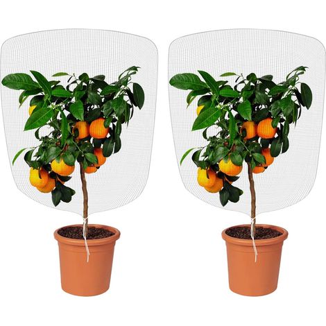 Insektennetz, 2 Stück Insektenschutznetz, Garten-insektennetze Mit Kordelzug, Feinmaschig Zum Schutz Von Topfpflanzen (1 X 1,5 M)