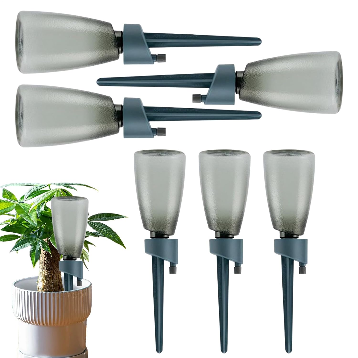 Spitze 6er Pack Reisewasser Mit Flasche Automatische